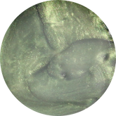 Mostive Malang Mood Aurora Nuance Clay Gel - 4 colours