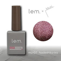 lem. Muni Mag Gel Series - 12 Magnetic Gel Colour Options