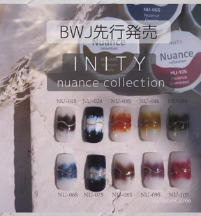 INITY High-End Nuance Collection - Full 10pc Set